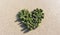 Green trees forming heart. Love, Valentine`s day, Earth Day