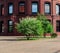 Green trees in front of the part of red brick corporate building with sky reflections in the windows. Sustainability