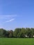 Green trees, green grass, blue sky