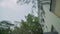 Green trees grow near the roof of the building