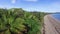 Green trees on an island