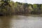 Green trees and lake at Historic Yates Mill Park