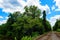 Green trees by the lake sunny day, with clouds on the sky railroad rails road