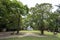 Green trees in the middle of a beautiful garden