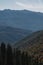 Green trees on the mountainside. Forest in the mountains.