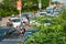 Green trees on road side with background of cars on urban street in traffic jam at rush hour in big city