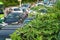 Green trees on road side with background of cars on urban street in traffic jam at rush hour in big city