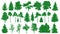 Green trees set. White background. Silhouette of a coniferous forest. Fir-tree, fir, pine, birch, oak, bush, branch.