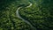 Green trees soar high above tranquil meadow generated by AI