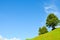 Green trees on a steep hill, blue sky with light clouds behind the horizon. Copy space for text. Empty space. Motivation, personal