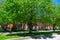 Green Trees on the Street with Homes in the background in University Village Chicago