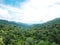 Green treetops on the mountain