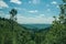 Green treetops on a valley covered by dense forest