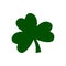 Green trefoil clover. St. Patrick`s Day symbol.