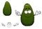 Green tropical avocado fruit cartoon character