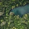 green tropical deciduous forest aerial above shot wide angle.AI Generated