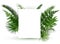 Green tropical leaves frame for random text on white background