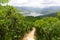 Green Tropical mountains and hiking route on the Dragon\'s Back trail near Hong Kong