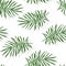 Green tropical palm leaves seamless pattern vector