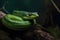 Green tropical snake. Neural network AI generated