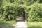 Green tunnel or berceau in the garden