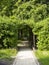Green tunnel or berceau in the garden vertical
