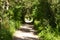 Green tunnel path in the natural park