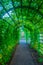 Green tunnel at the upper garden in Estonian capital Tallin