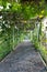 Green tunnel walkway