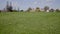 Green turf grass and sand trap at golf course