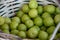 Green turkish plum can erik in basket