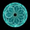 A green or turquoise abstract flower with many petals is inscribed in a circle. The circle is decorated with a pattern.