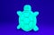 Green Turtle icon isolated on blue background. Minimalism concept. 3d illustration 3D render