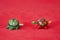 Green turtle made of wood, Mexican handicraft, on red background