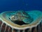 Green turtle resting on barrel sponge