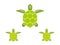 Green turtles family