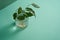 A green twig in a glass glass on a green background.