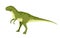 Green Tyrannosaurus. Cute dinosaur, cartoon design. Flat  illustration isolated on white background. Animal of jurassic