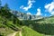 Green tyrol alm alps nature landscape in Austria at summer with pine trees and mountan cliffs