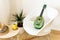 Green ukulele with kiwi painted on it on a chair in a living room or modern studio