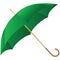 The green umbrella represented on a white