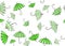 Green umbrellas on white background