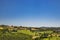 The green Umbrian hills