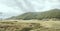 Green upland and Pizzalto peak woody slopes near Pescocostanzo, Abruzzo, Italy