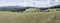 Green upland among trees in Black Forest near Muehlenbach, Germany