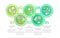 Green urbanism basis circle infographic template