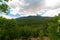 Green valley, mountain covered with forest.