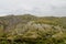 Green valley near La Paz in Bolivia