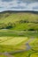 Green valley with road near Vik, Iceland on overcast summer day