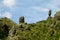 Green valley and rock formations near La Paz in Bolivia